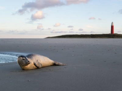 Uitwaaien op Texel